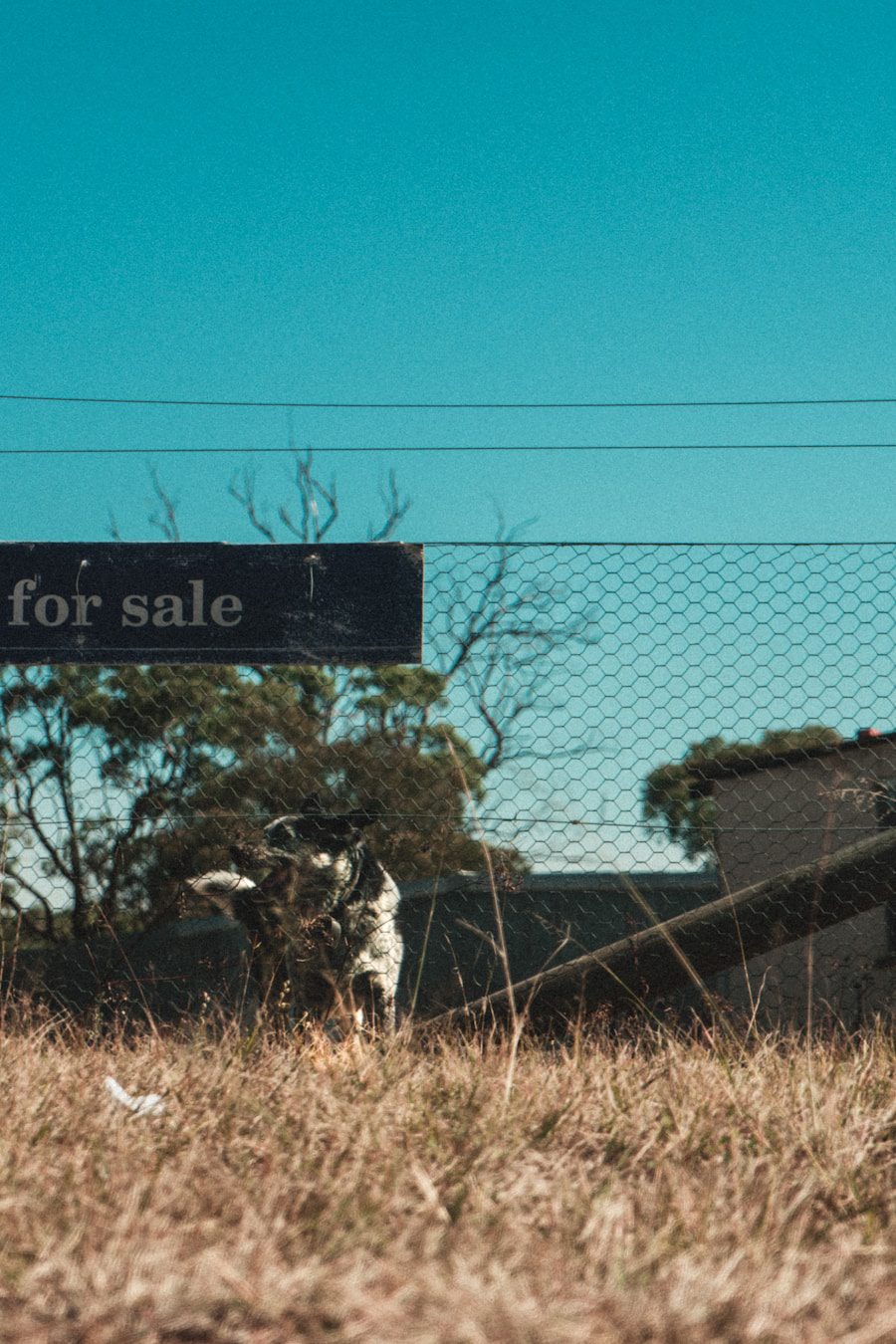 Selling Your Car Without a Title: What You Need to Know