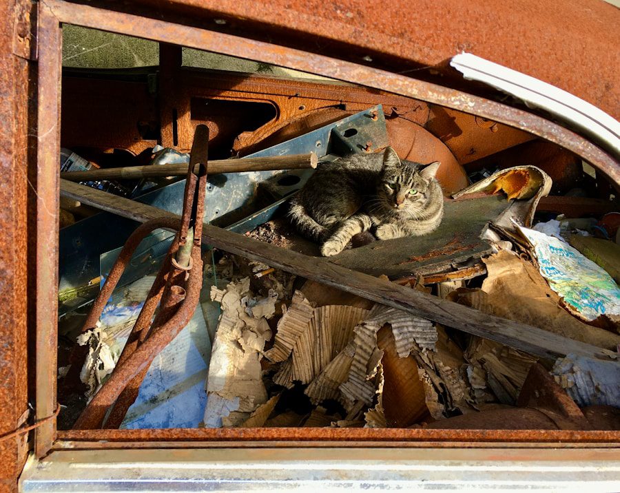 Free Scrap Car Removal: Cost-Efficient Solution